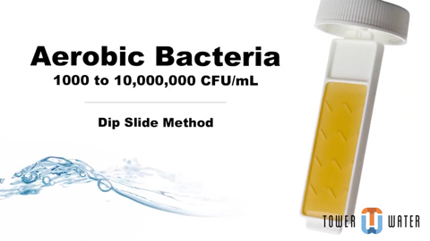 how to test for aerobic bacteria video thumbnail