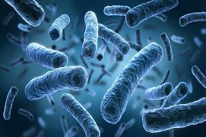legionella bacteria illustration representing harmful illness that can be caused by legionella