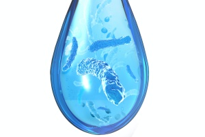a droplet of water that contains harmful Legionella bacteria