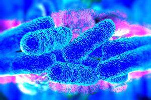microscopic image of a microbe that could be legionella