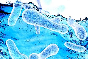 Legionella Risk Assessment for a water system