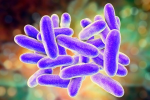 Legionella is a gram-negative bacteria that thrives in freshwater