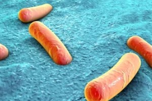 Legionella bacteria inside a person's skin