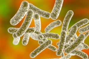 legionella bacteria illustration