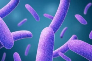 legionella outbreak pneumophila bacteria is the causative agent