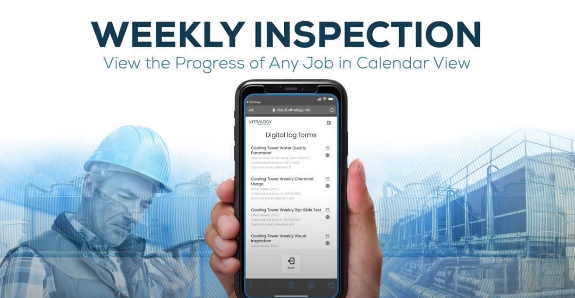 viewing weekly inspection