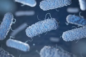 legionella bacteria 3d animation